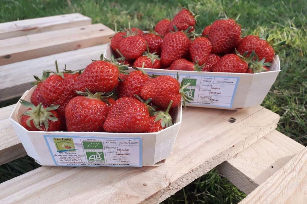 L'ile Aux Fruits En Berry Hébergement de vacances Ardentes